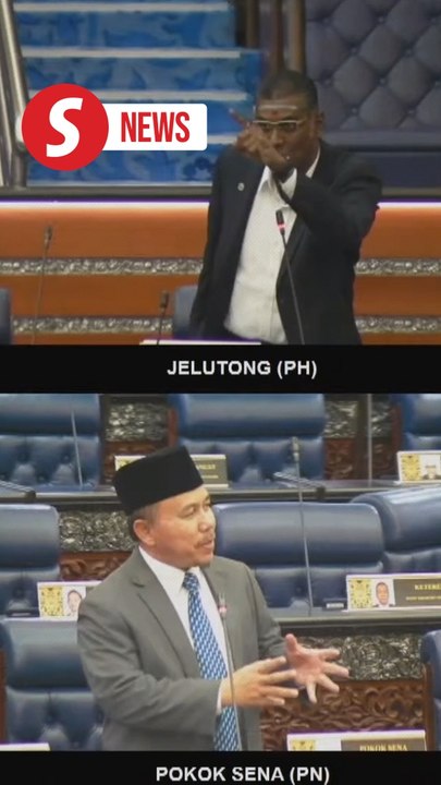Shouting match in Dewan Rakyat after MP takes offence to 'insulting' term