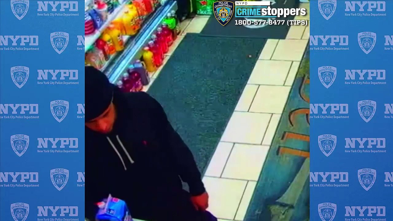 Men snatch wallet from woman's hand at Queens subway station