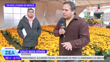 Así el precio de la flor de cempasúchil en la Central de Abasto de la CDMX