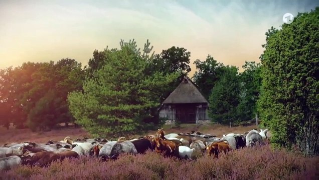 Rote Rosen Folge 4045