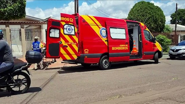 Idoso tem lesão na cabeça após cair de árvore no Bairro Alto Alegre