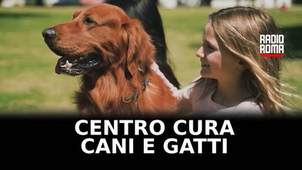 Inaugurato a Roma centro cura cani e gatti di famiglie fragili