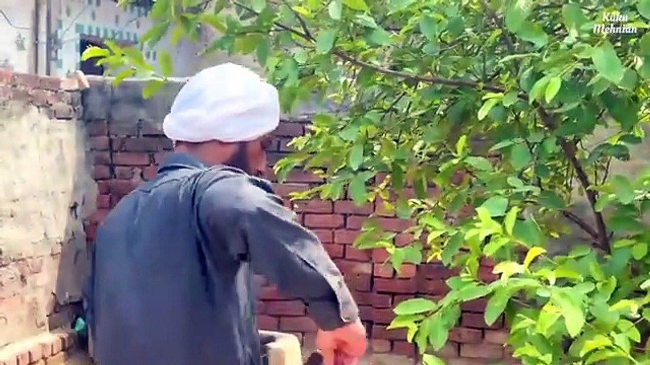 Nakli Plumber (Full Comedy Video) Kaku Mehnian Funny Video | Punjabi Funny Video 2024