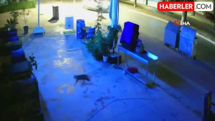 Antalya'da Kontrolden Çıkan Araç Ağaca Çarptı: 1 Yaralı