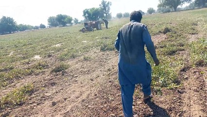 Mong Phali Nakalty waqat kam krty huy