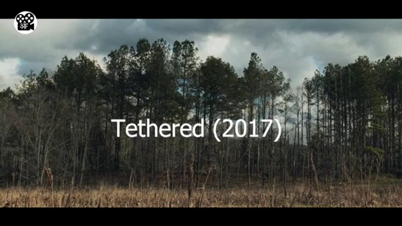 Andha Ladka Phass Gaya Bhootiya Jungle Mein | Movie Explained in Hindi"| Film/Movie Explained in Hindi/Urdu | Hindi Story"