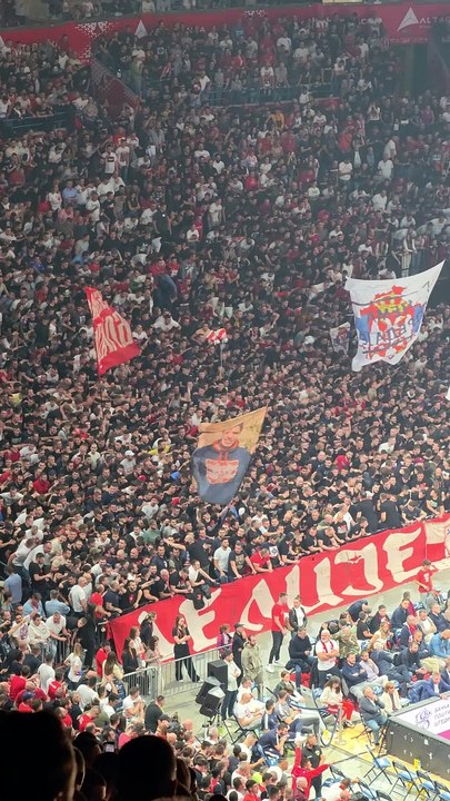 The best Euro basketball Fans - Red Star Belgrade #crvenazvezda #basketball #euroleague