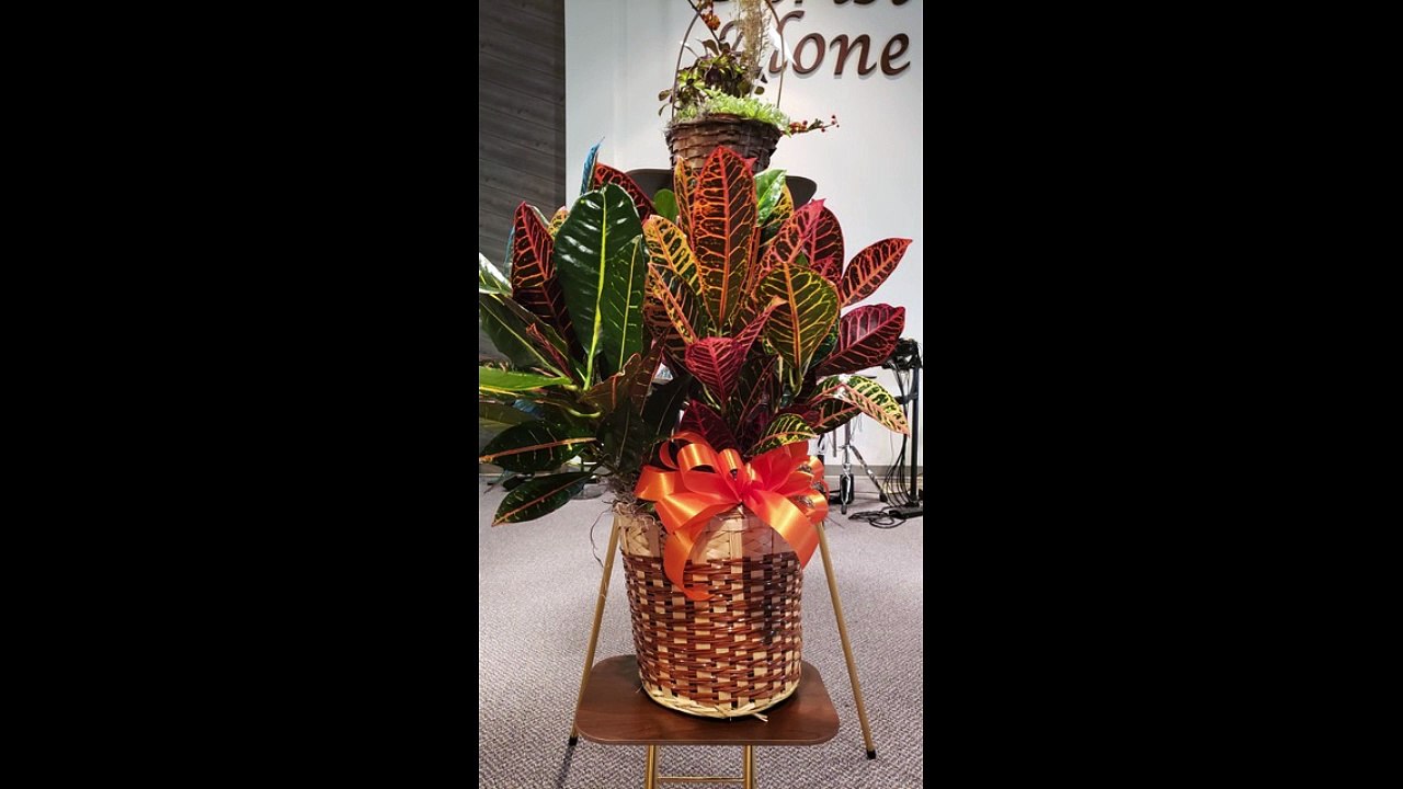 Flowers and Cards for Jackie Broeder