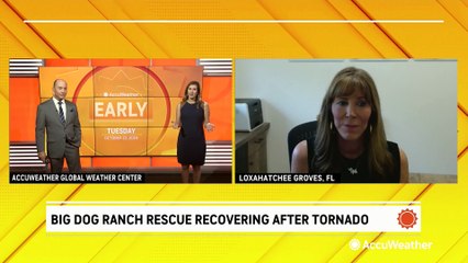 Big Dog Ranch Rescue recovering after tornado