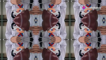 Understanding the Gallbladder: Function, Problems, and Treatments Explained