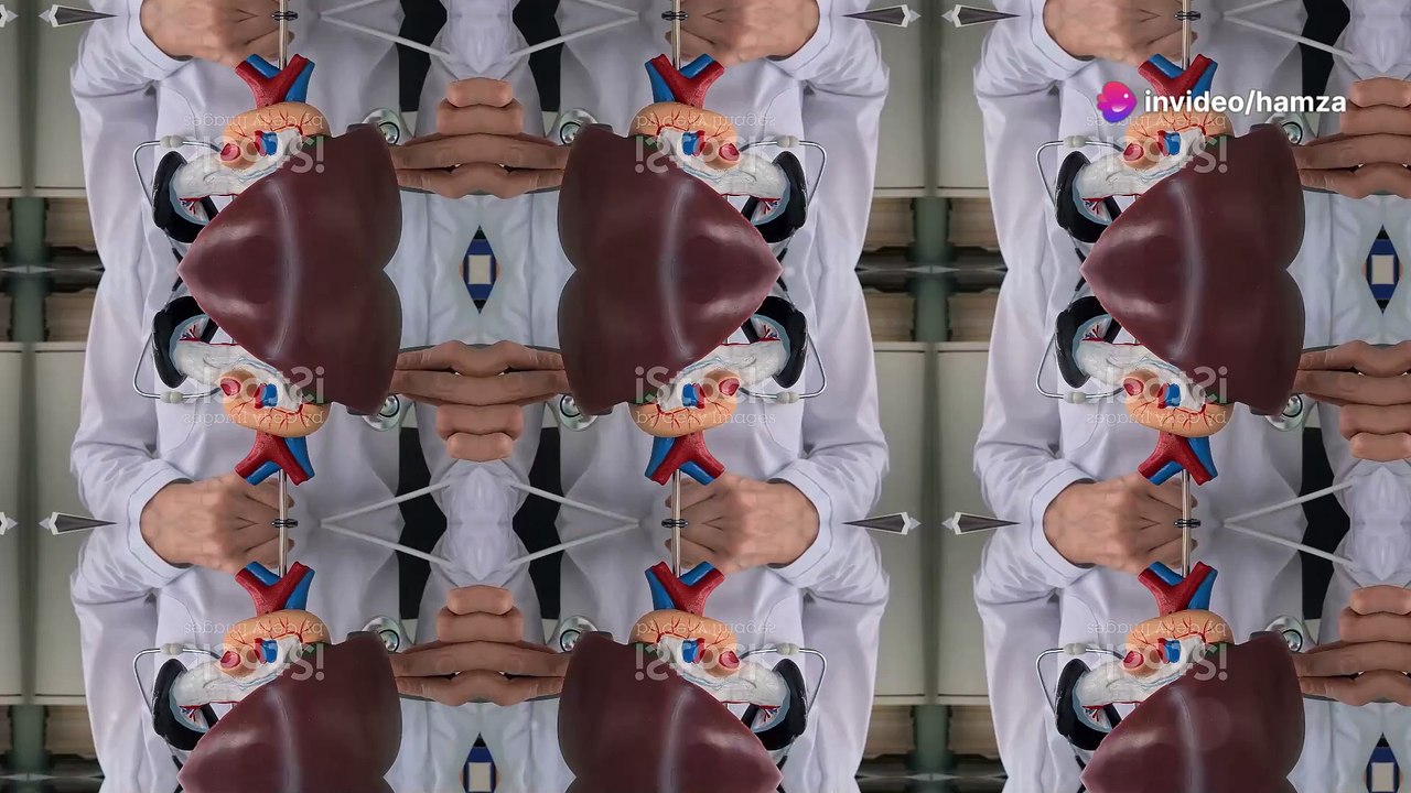 Understanding the Gallbladder: Function, Problems, and Treatments Explained