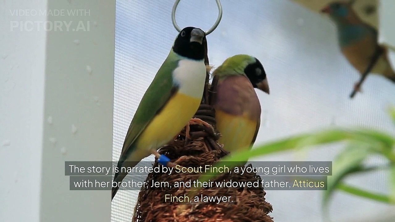 To Kill a Mockingbird A Powerful Summary of Harper Lee's Classic