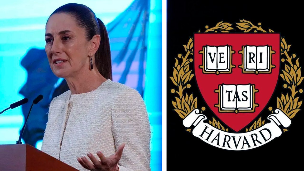 Claudia Sheinbaum responde a Harvard tras sus burlas por la Reforma Judicial: "Me toca defender a los mexicanos"