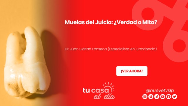 Muelas del Juicio: ¿Verdad o Mito?