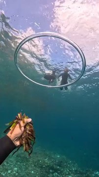 The Underwater Magically Rings Official Amazing Captured Scenes Follow For More Videos Have Virelreels ...!!