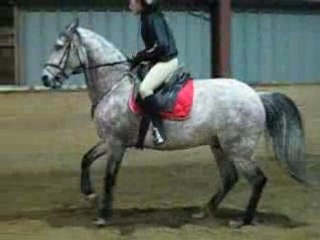 Sonho aux appuyers au galop à droite