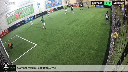 Faute de Pierre L - LOS CEBOLLITAS