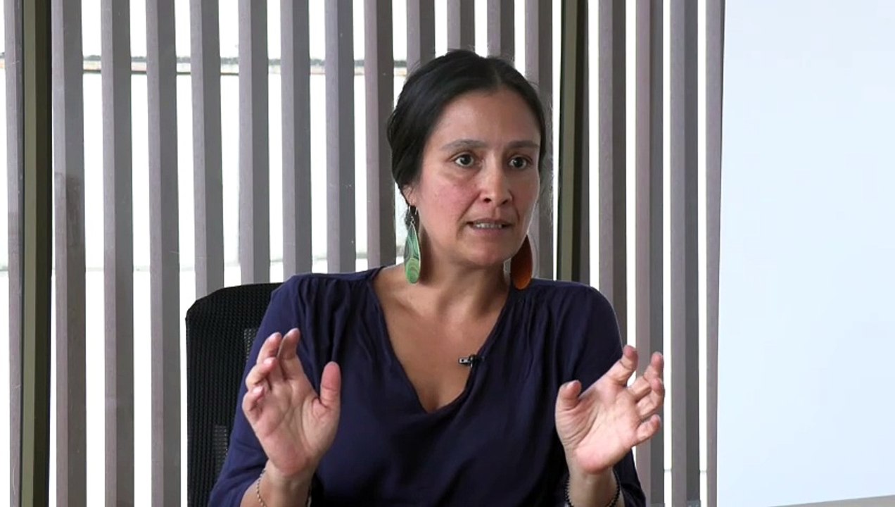 Nuevos detalles de la investigación que realiza Colombia sobre el galeón español San José