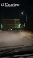 L'orso ghiotto a Sulmona fa una sosta davanti alla fabbrica dei confetti