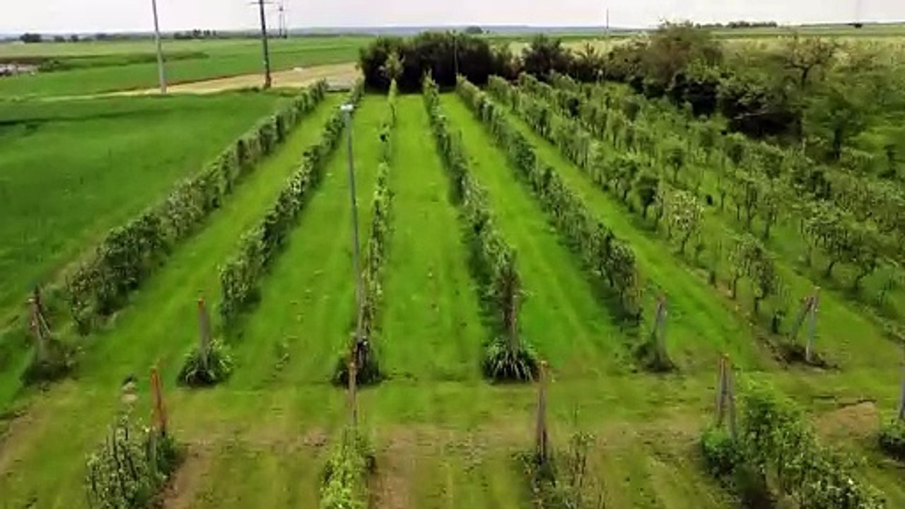 2024 été - survol en drone du Verger de Sauvegarde Yves Fourniére