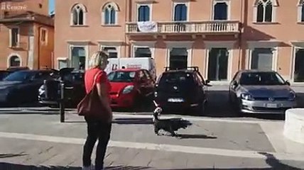 L'omaggio dell'Aquila a Morricone