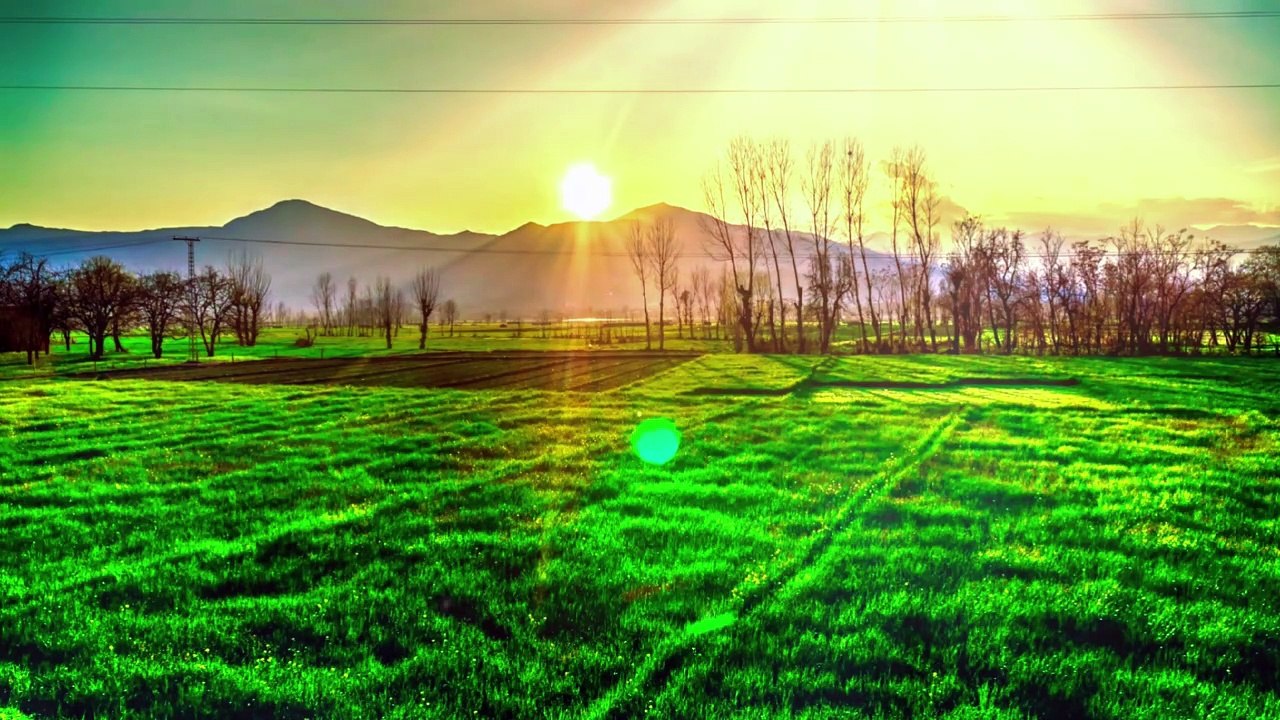 The Golden Hour | A Dance of Light and Shadow | Cinematic Golden Hour