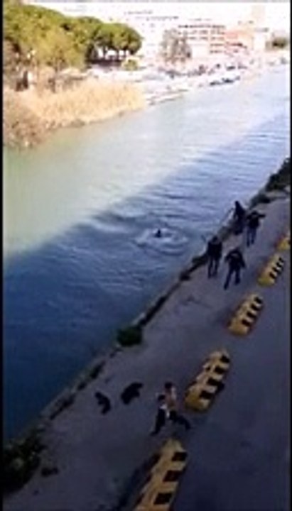 Vigile del fuoco si getta nel fiume per soccorrere un uomo caduto in acqua