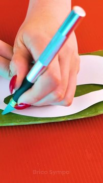 Trucs et astuces de beauté et de soins utilisant la magie de l'aloe vera