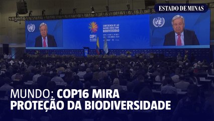 Sob forte esquema de segurança em Cali, COP16 mira proteção da biodiversidade