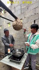 Brave or Crazy? Join the Hornet Eating Challenge!