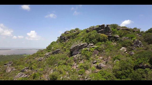 Revelações Pré-históricas (Temporada 2) | Trailer em Português | Netflix