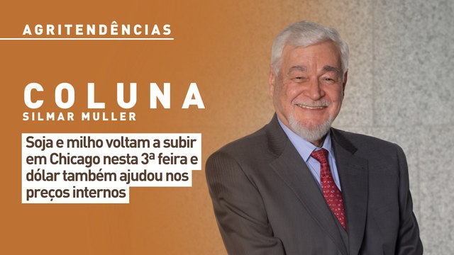 Soja e milho voltam a subir em Chicago nesta 3ª feira e dólar também ajudou nos preços internos