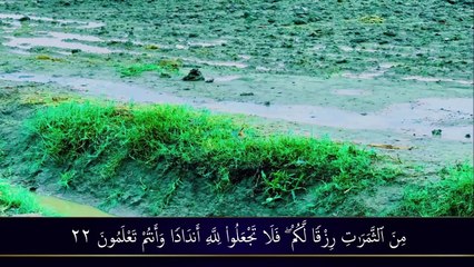 Surah Al Baqarah (سورة البقره) with Movie