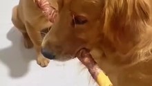 FbVideo_1726806800278