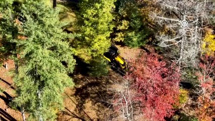 Pensilvanya’daki çiftlikte cenaze hazırlığı! İş makineleri geldi, kazı başladı