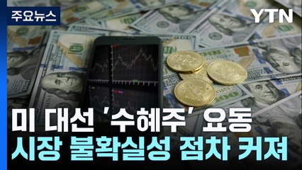 트럼프 수혜 종목 vs 해리스 수혜 종목...투자 시장 요동 / YTN