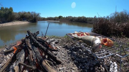 PESCA Y COCINA en ARROYO URQUIZA | Aventura en la Naturaleza y Pescado Asado | Video de Pesca