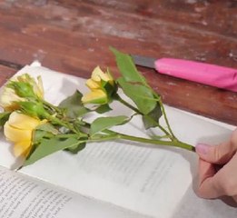 Beautiful crafts made with some nature gifts!