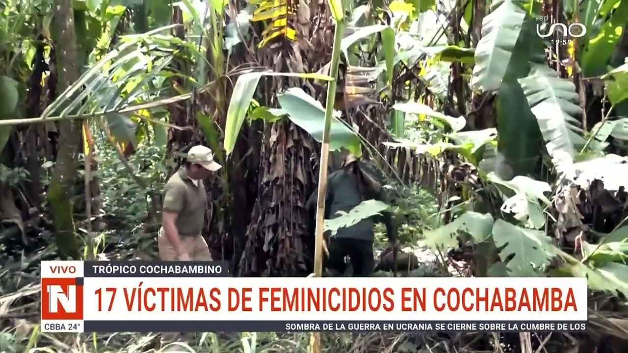 17 feminicidios