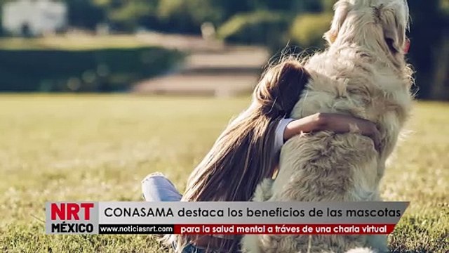 CONASAMA destaca los beneficios de las mascotas para la salud mental: Charla virtual