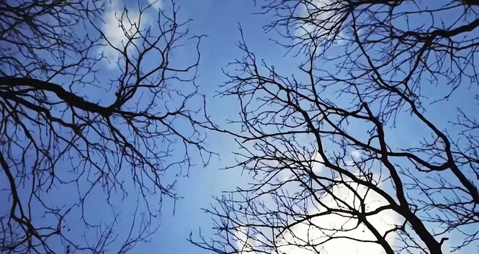 Algerian Energy Company الشركة الجزائرية للطاقة version FR