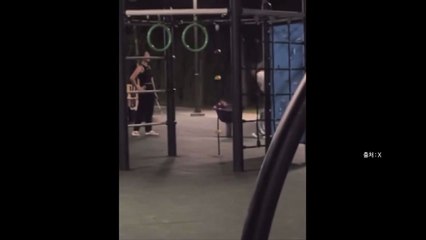 [나우쇼츠] 회전의자에 반려견 빙글빙글..."쪼그려 앉아있기만" / YTN