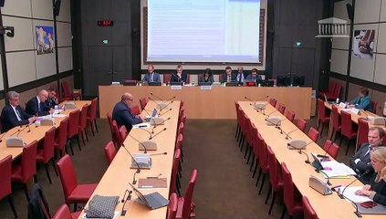 Commission des affaires économiques :  Examen de la seconde partie du projet de loi de finances pour 2025 : mission « Cohésion des territoires » - Mardi 22 octobre 2024