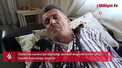 Engerek ısırdı, eli bu hale geldi: Mermi sıkılmış gibiydi