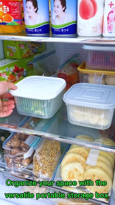 Effortless Organization: The Ultimate Portable Storage Box for Home & Travel"