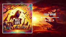 WILD LIFE Cycle of Creation Tribute to the Lion King