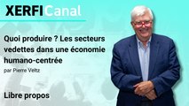 Quoi produire ? Les secteurs vedettes dans une économie humano-centrée [Pierre Veltz]