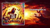 WILD LIFE Upepo wa Maisha (Breath of life) Tribute to the Lion King