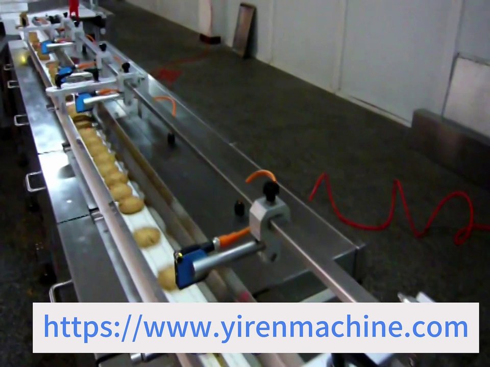 biscuit sorting and conveying line connected packing machine