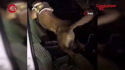 Kars’ta operasyon Otomobil tavanında uyuşturucu bulundu!